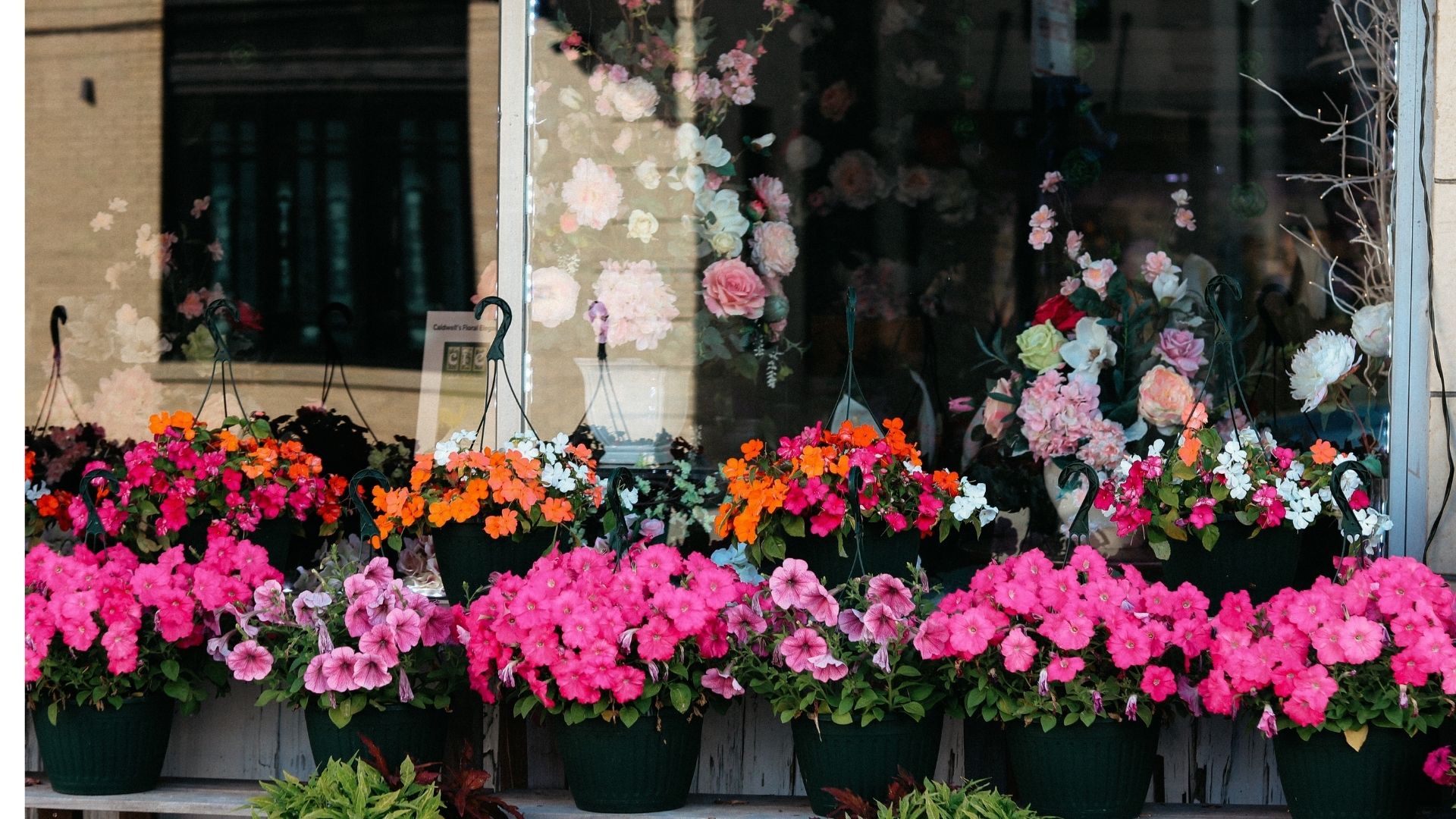 Perfect Plants For Deck Railing Planters